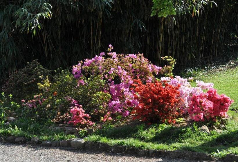اتاق استاندارد یک نفره, Invilla B&b