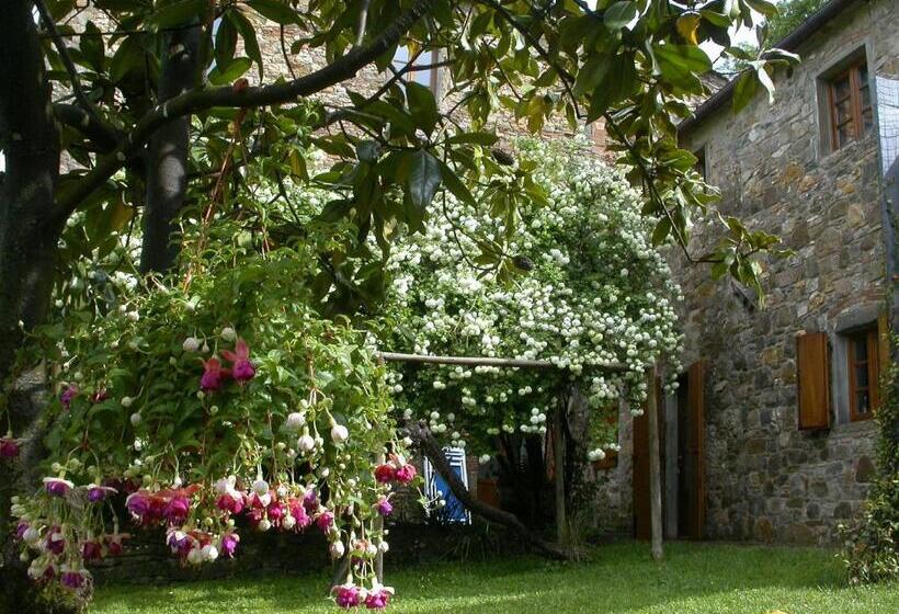 غرفة قياسية, Fattoria Poggerino