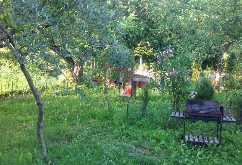 Quarto Estandar, Il Giardino Del Gallo