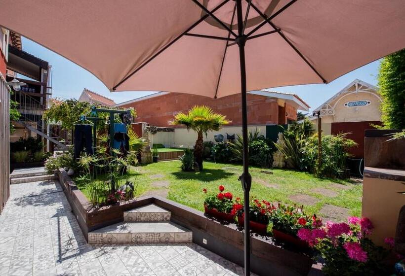 Номер Стандарт, Villa Zenith Hostel La Surf House