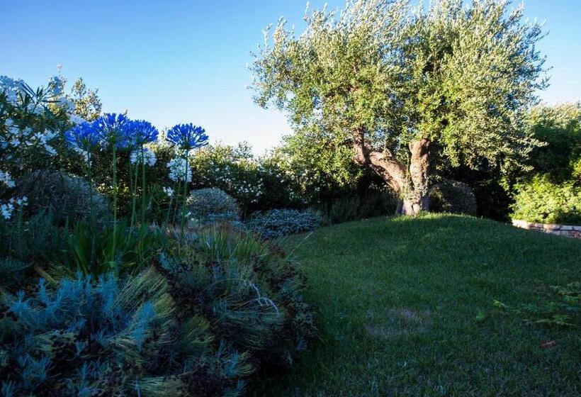 اتاق سوپریور, Leonardo Trulli Resort