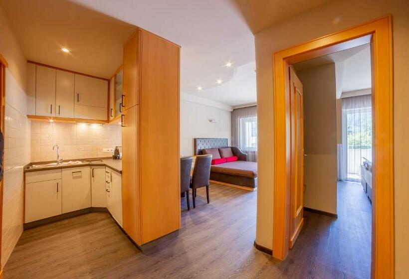 带1个卧室带观景的公寓, Familien Wellness Residence Tyrol