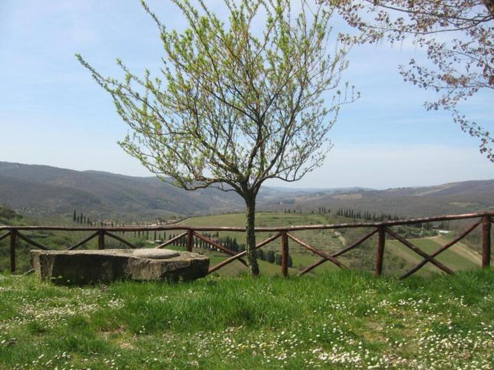 Студия Стандарт, Camere E Appartamenti Baldini Romanita