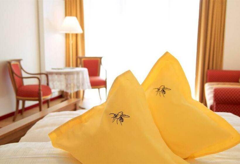 标准间, Apipura Hotel Rinner