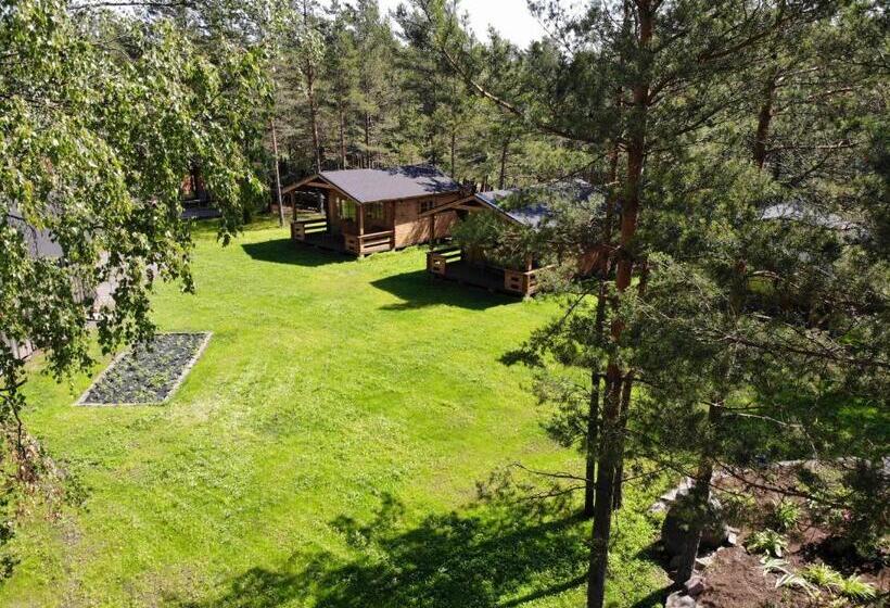 Шале 1 Спальня, Viking Motel
