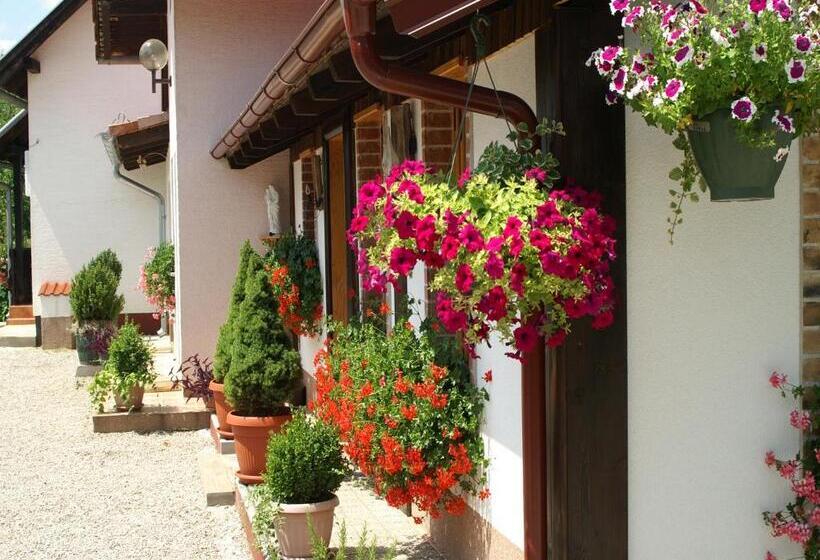 Апартаменты 1 Спальня с Террасой, Bed & Breakfast Helena