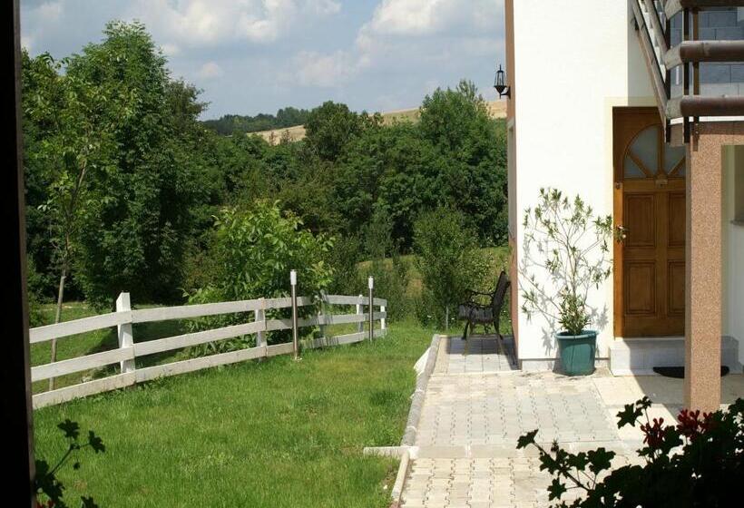 Номер Стандарт с Террасой, Bed & Breakfast Helena