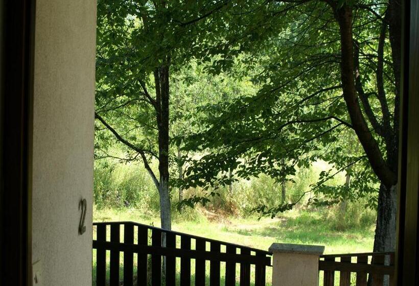 Апартаменты 1 Спальня с Террасой, Bed & Breakfast Helena