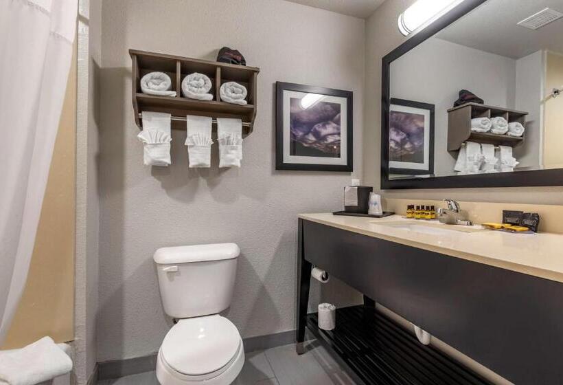 Люкс Кровать Кинг, Best Western Plus Pauls Valley