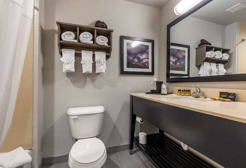 Номер Стандарт 2 Двуспальные Кровати, Best Western Plus Pauls Valley
