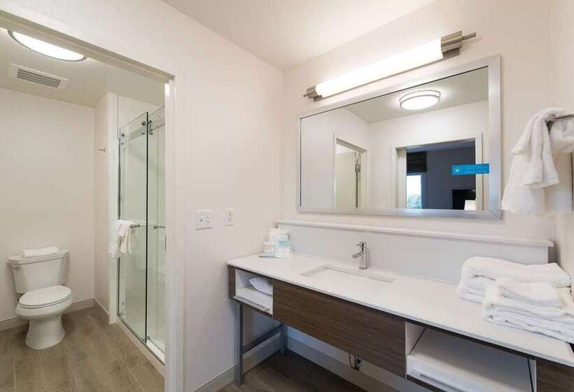 Номер Стандарт, Hampton Inn & Suites Franklin Berry Farms