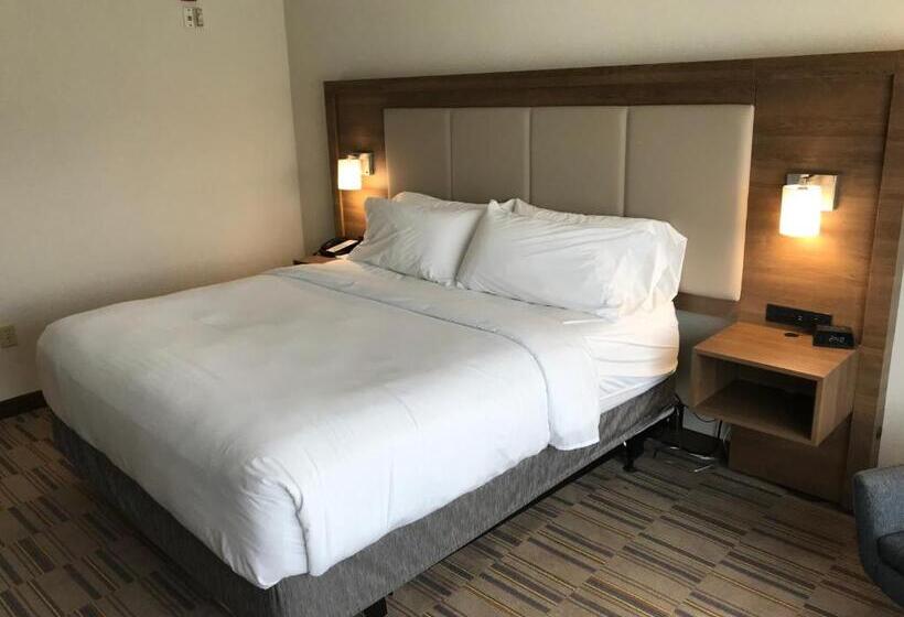 장애인을 위한 킹사이즈 침대 스탠다드 룸, Holiday Inn Express & Suites   Pittsburgh   Monroeville, An Ihg