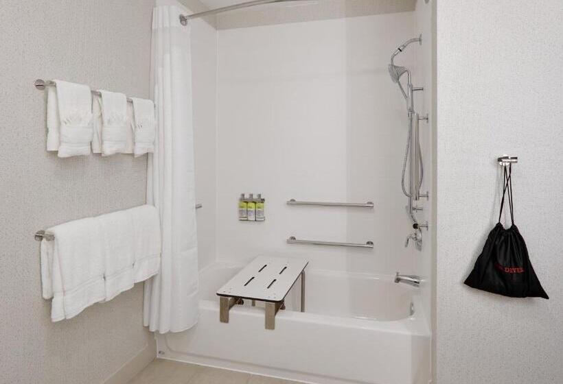 Номер Стандарт Кровать Кинг Адаптированный для Инвалидов, Holiday Inn Express & Suites Plano East   Richardson, An Ihg