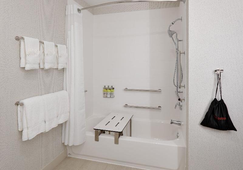 Люкс, Holiday Inn Express & Suites Plano East   Richardson, An Ihg