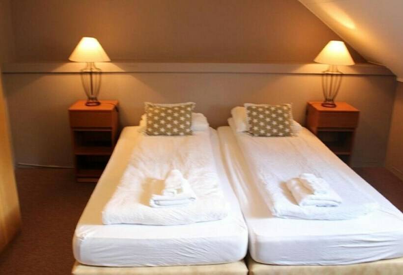 غرفة قياسية حمام مشترك, North Star Guesthouse Olafsvik