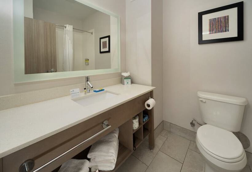 套房, Holiday Inn Express & Suites Memphis Arpt Elvis Presley Blv, An Ihg