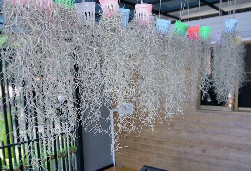 اتاق استاندارد, Decho Hostel