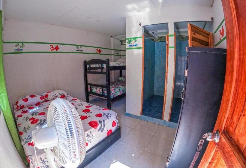 غرفة قياسية رباعية, Palomino Hostel