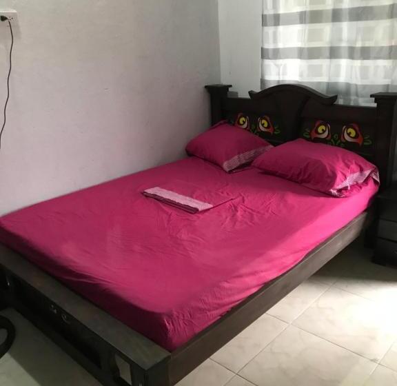 غرفة قياسية, Palomino Hostel