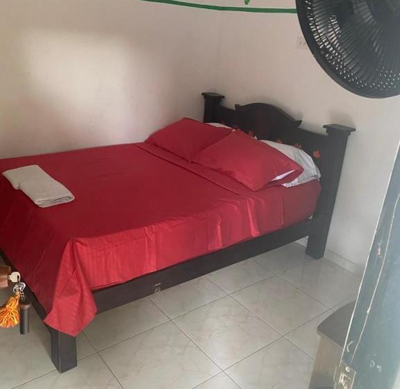 غرفة إقتصادية, Palomino Hostel