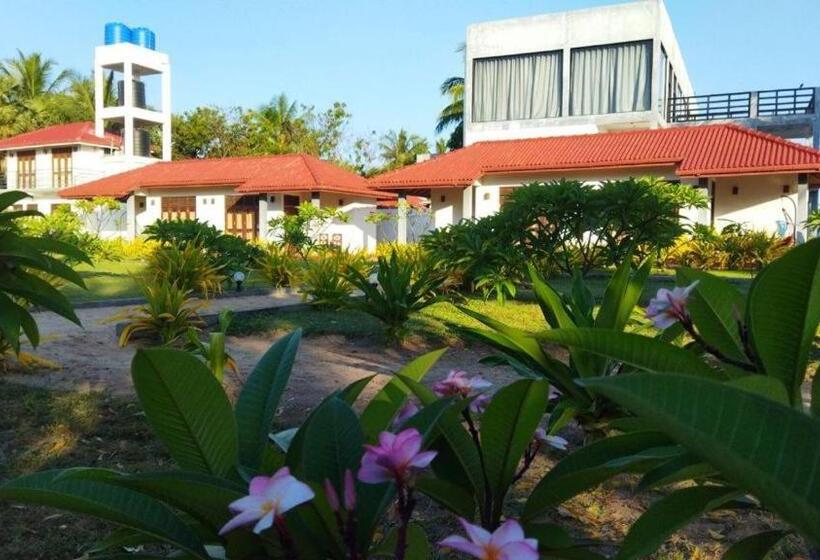 اتاق استاندارد, Nn Beach Resort & Spa