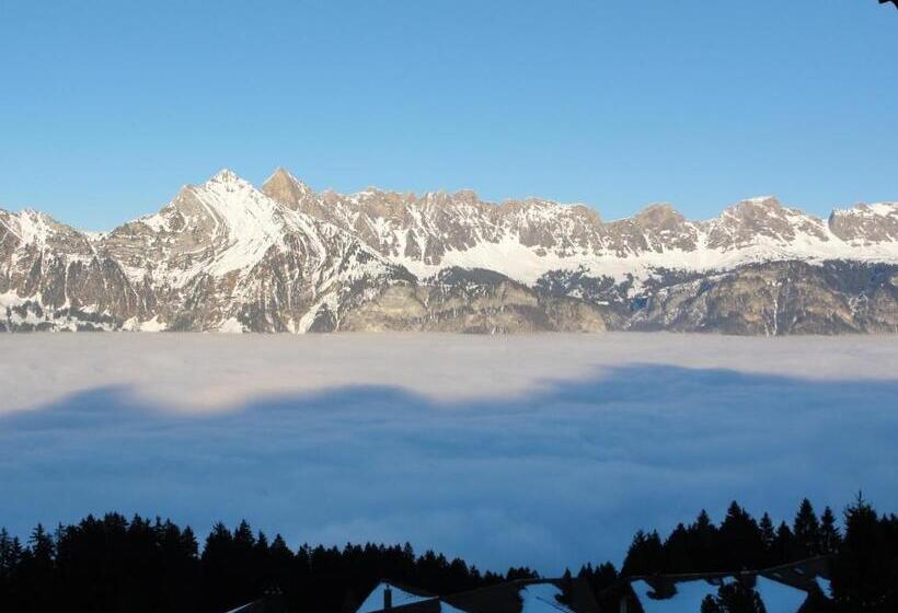 سوئیت جونیور با چشم‌انداز کوهستان, Tannenboden