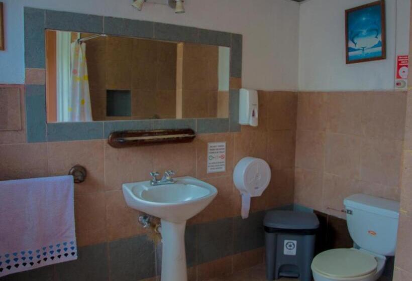 Quarto Quádruplo Estandar, Blue House Youth Hostel