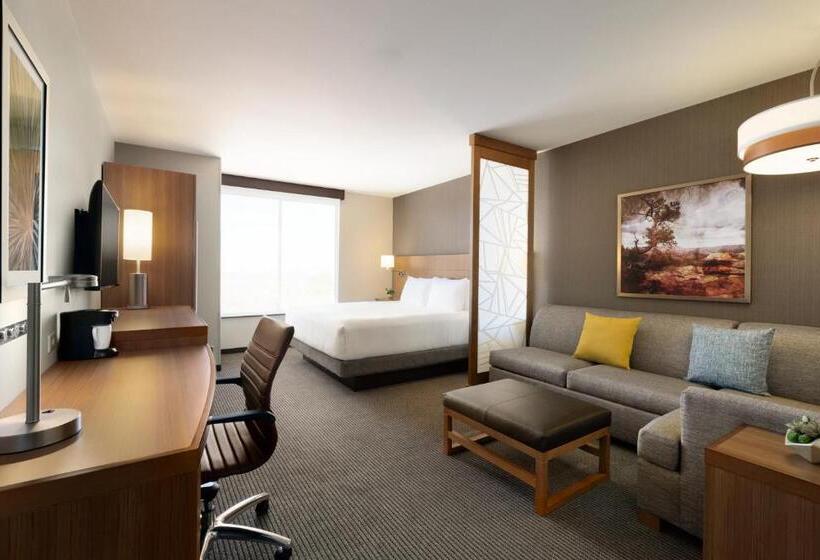스탠다드 룸 킹사이즈 침대, Hyatt Place Page Lake Powell