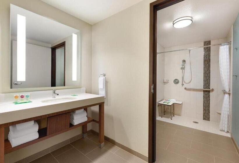 장애인을 위한 킹사이즈 침대 스탠다드 룸, Hyatt Place Page Lake Powell