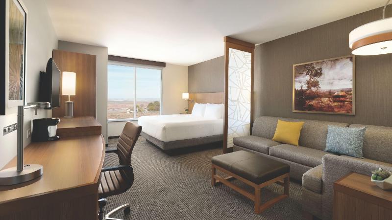 스탠다드 룸 킹사이즈 침대, Hyatt Place Page Lake Powell