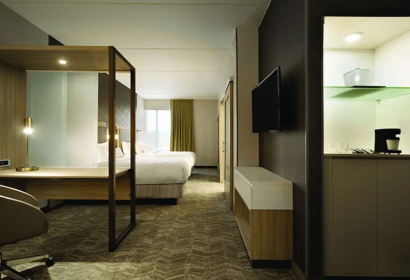 스위트, Springhill Suites By Marriott Allentown Bethlehem/center Valley