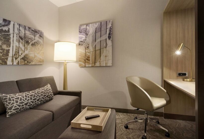 장애인을 위한 스위트, Springhill Suites By Marriott Allentown Bethlehem/center Valley