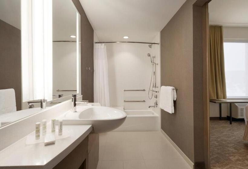 스위트 킹사이즈 침대, Springhill Suites By Marriott Allentown Bethlehem/center Valley