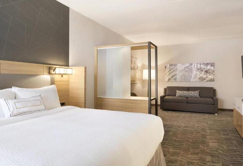 스위트 킹사이즈 침대, Springhill Suites By Marriott Allentown Bethlehem/center Valley