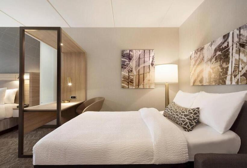장애인을 위한 스위트, Springhill Suites By Marriott Allentown Bethlehem/center Valley