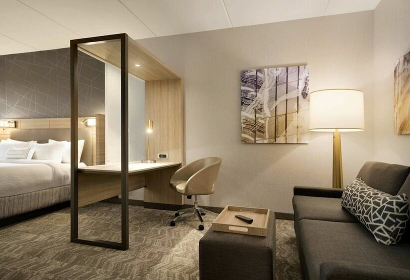 스위트, Springhill Suites By Marriott Allentown Bethlehem/center Valley
