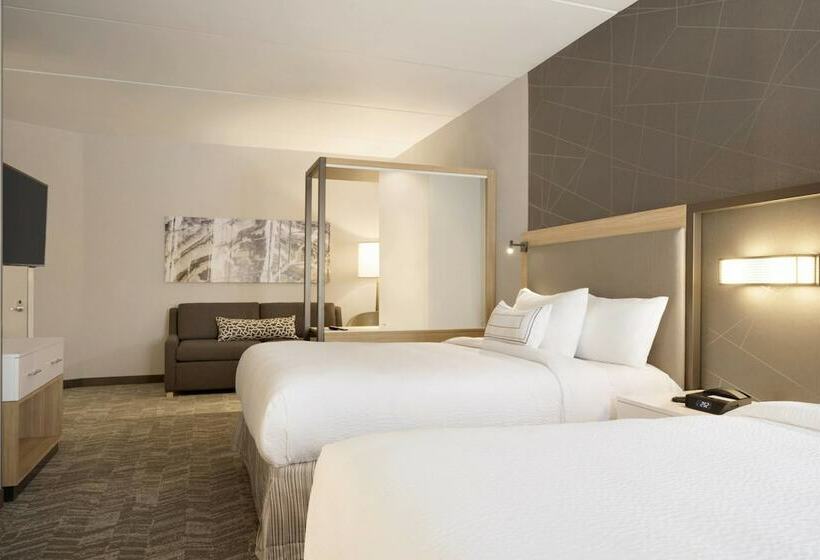 스위트, Springhill Suites By Marriott Allentown Bethlehem/center Valley