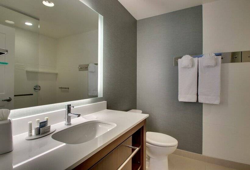 Люкс, Residence Inn By Marriott Philadelphia Valley Forge/collegeville