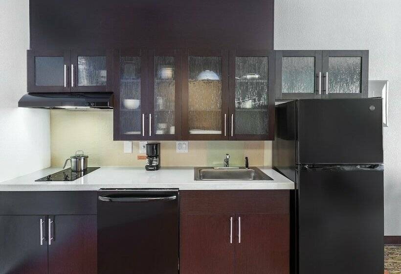 标准工作室, Candlewood Suites Houston   Spring, An Ihg