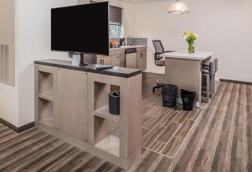 带大床的标准工作室, Hyatt House Raleigh/rdu/brier Creek