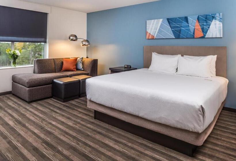 带大床的标准间, Hyatt House Raleigh/rdu/brier Creek