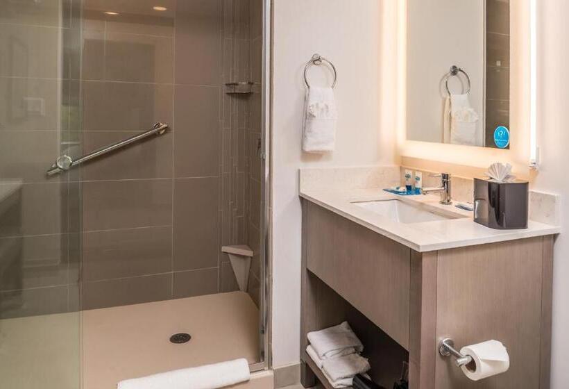 带大床的标准间, Hyatt House Raleigh/rdu/brier Creek