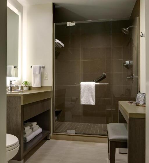 带大床的套房, Hyatt House Raleigh/rdu/brier Creek
