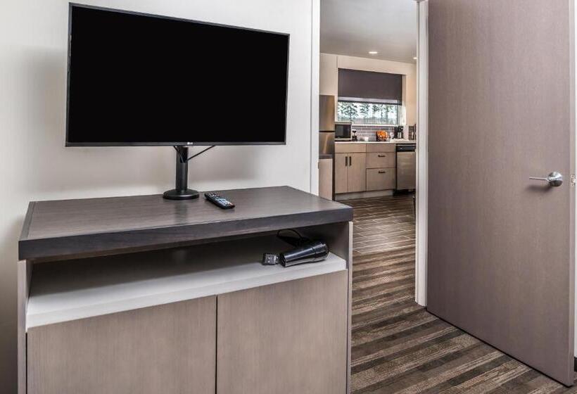 带大床的套房, Hyatt House Raleigh/rdu/brier Creek