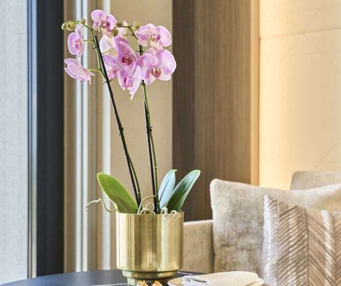 اتاق سوپریور سه تخته, Vp Plaza Espana Design
