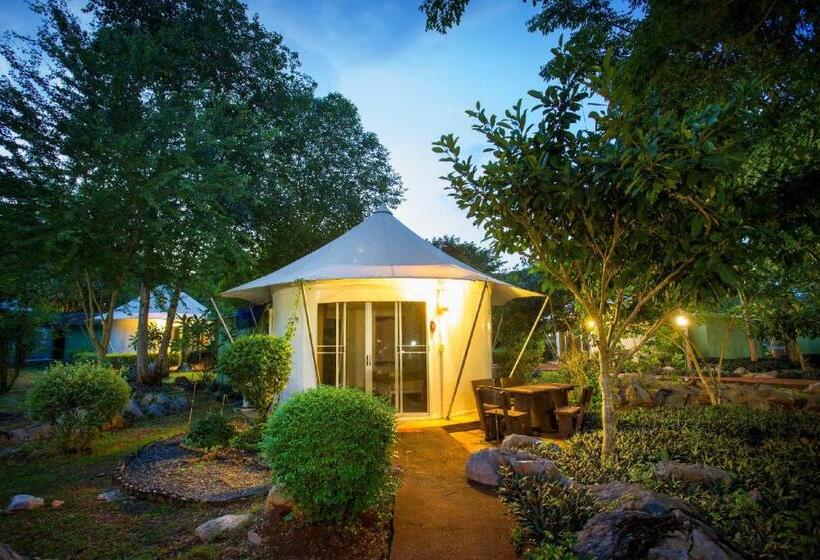 Tenda Padrão, Goldengold  Resort & Spa