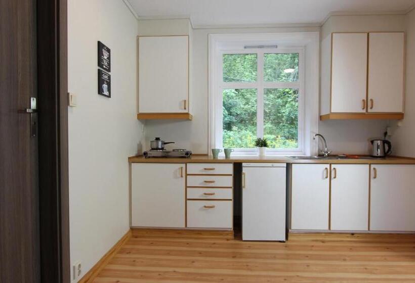 Апартаменты 2 Спальни, Slottet Apartments