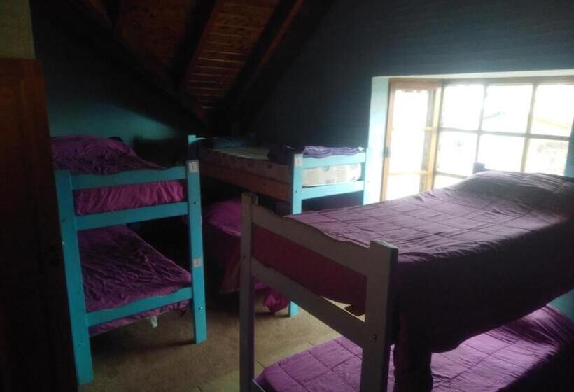 共用房间的床, Universal Traveller's Hostel