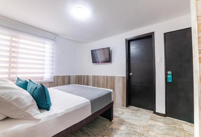 Quarto Estandar Individual, Ayenda Ruta 65