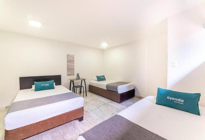 Quarto Triplo Estandar, Ayenda Ruta 65